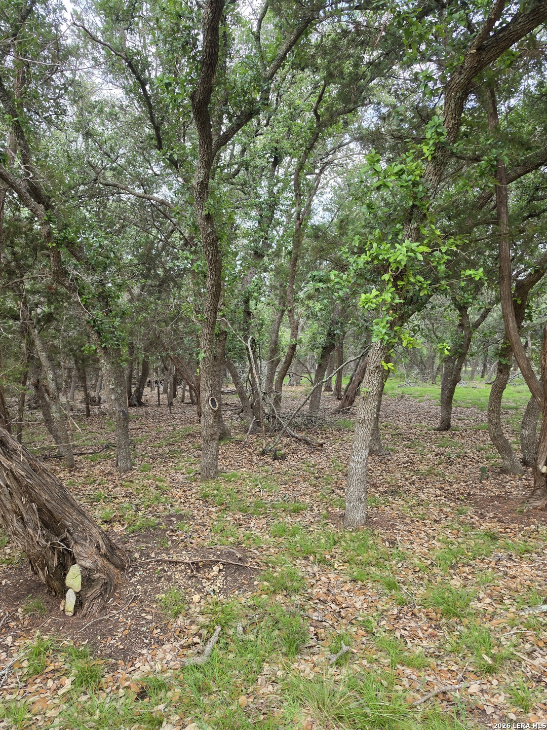 1061 Cielo Springs Drive Blanco TX 78606