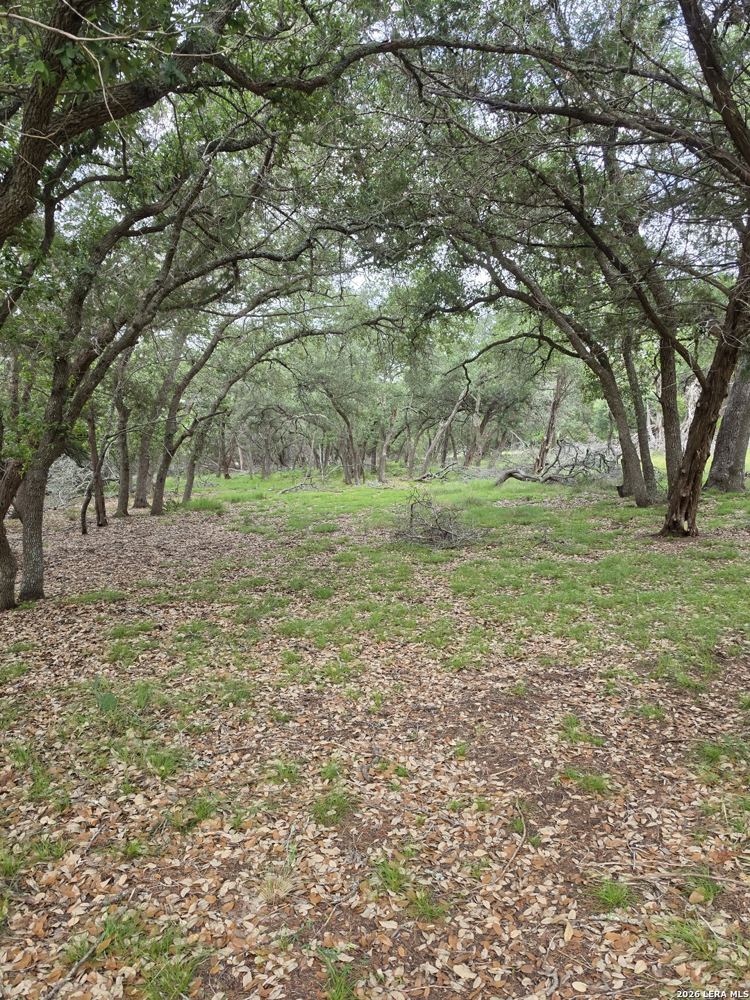 1061 Cielo Springs Drive Blanco TX 78606