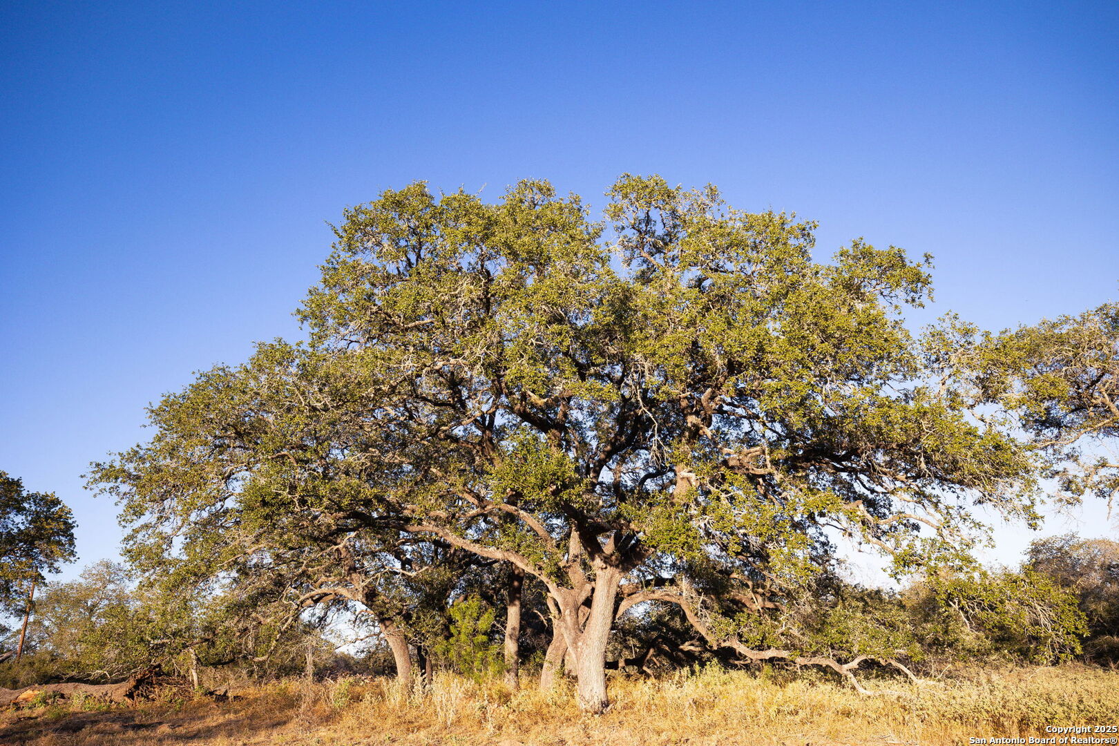 552 Pr Arroyo Vista Lot 41 Somerset TX 78069