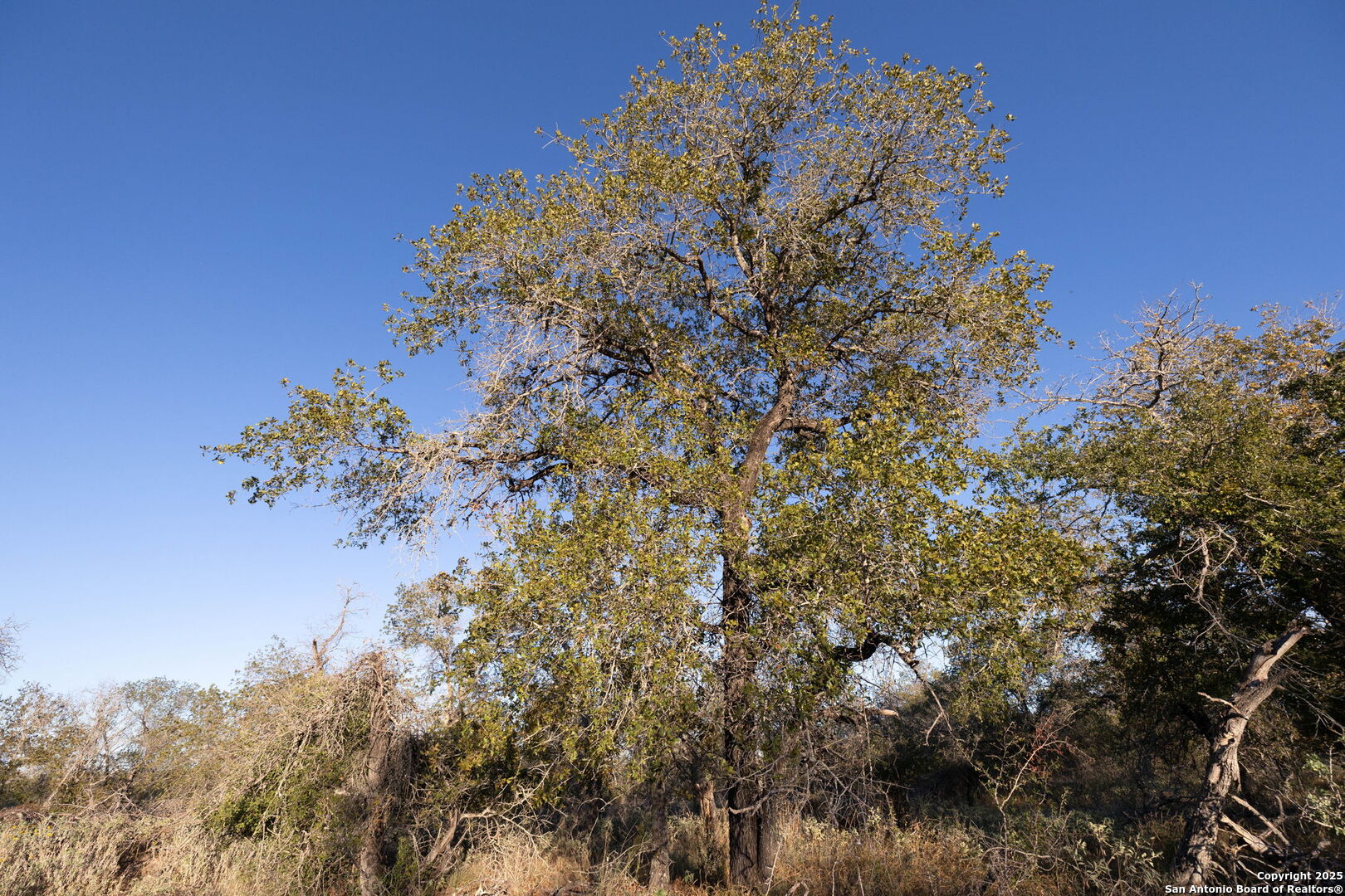 552 Pr Arroyo Vista Lot 41 Somerset TX 78069