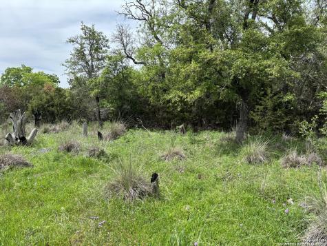 4.31 Acres Walnut Grove Road Boerne TX 78006