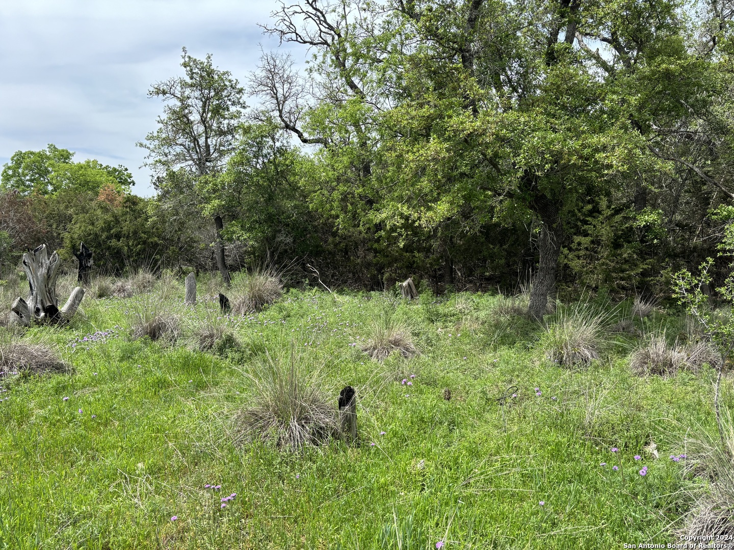 4.31 Acres Walnut Grove Road Boerne TX 78006
