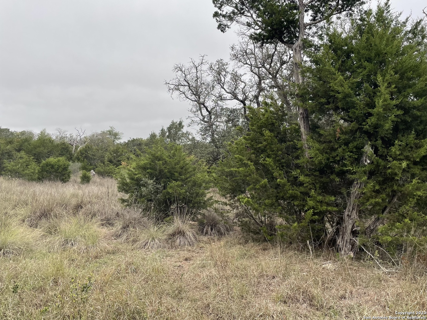 4.31 Acres Walnut Grove Road Boerne TX 78006