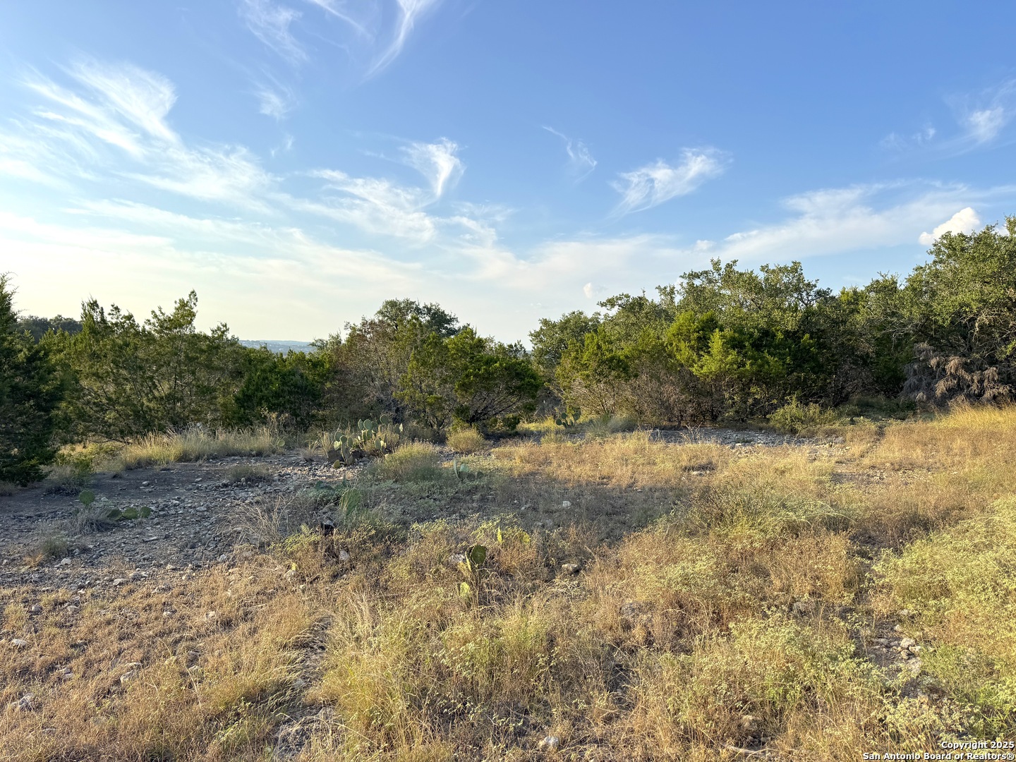 415 Scarlet Canyon Lake TX 78133