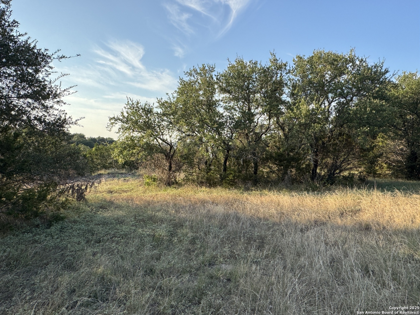 415 Scarlet Canyon Lake TX 78133