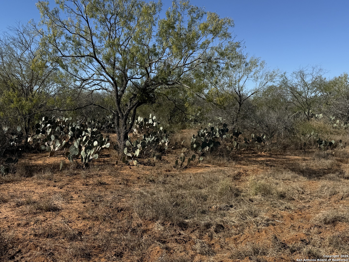117 Cr 2644 Moore TX 78057