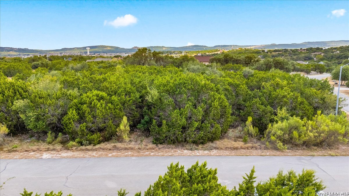 3104 Black Gold Court Bulverde TX 78163