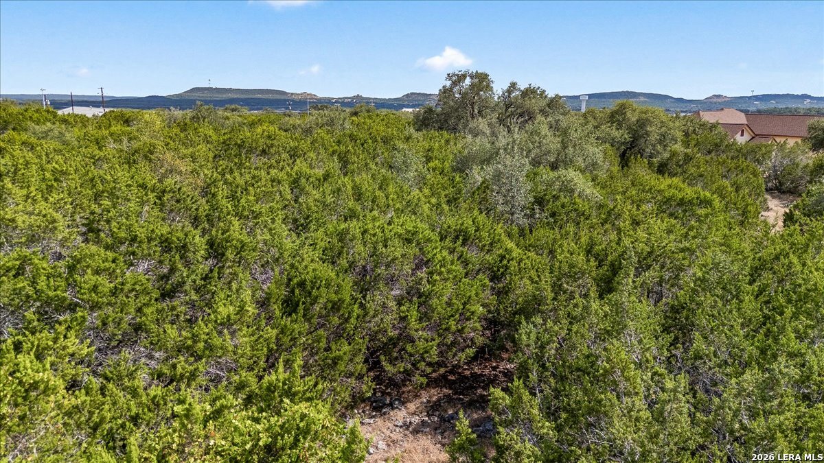 3104 Black Gold Court Bulverde TX 78163