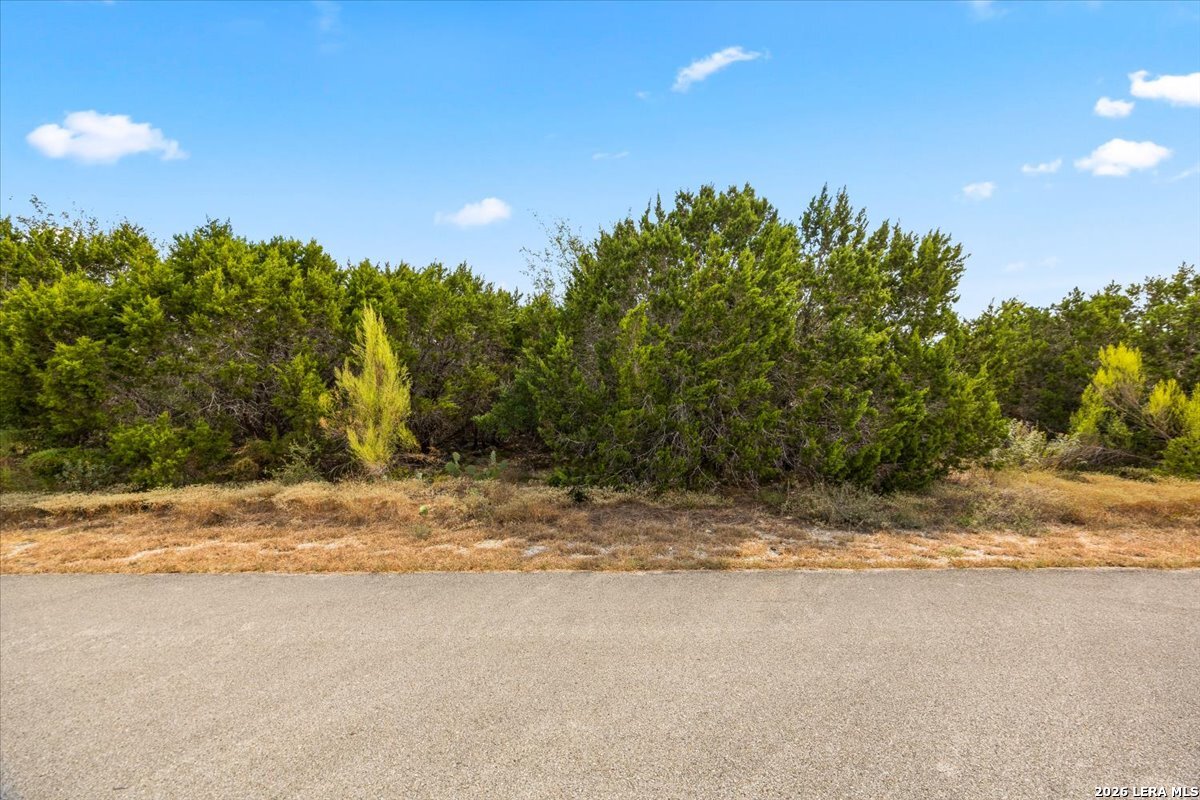 3104 Black Gold Court Bulverde TX 78163