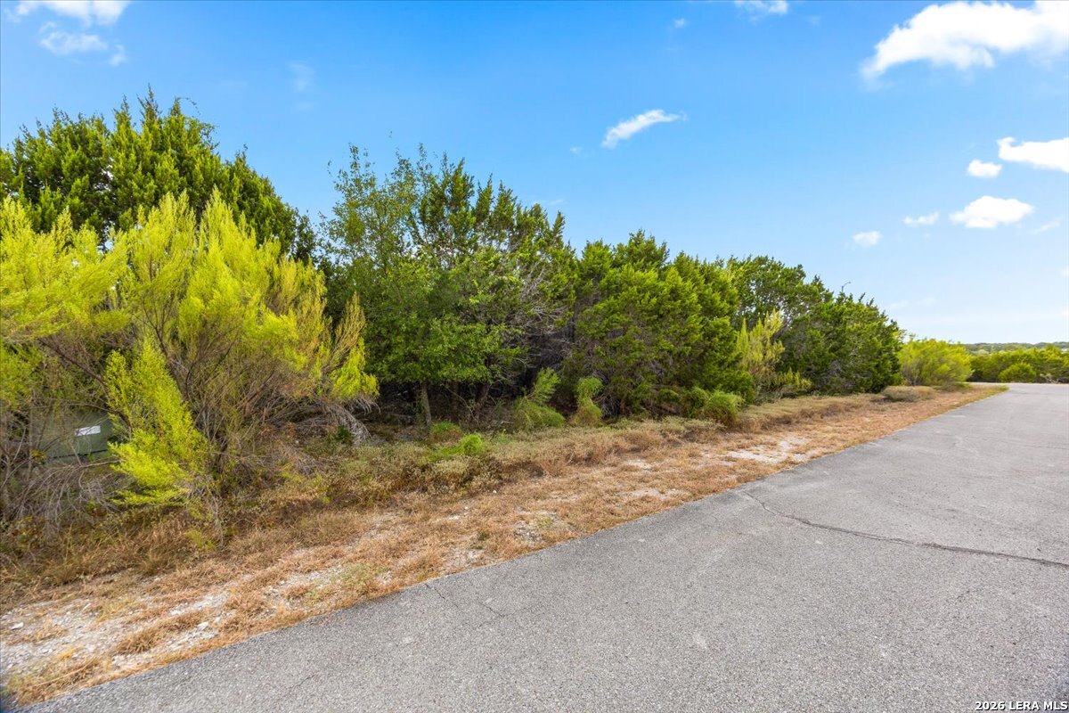 3104 Black Gold Court Bulverde TX 78163
