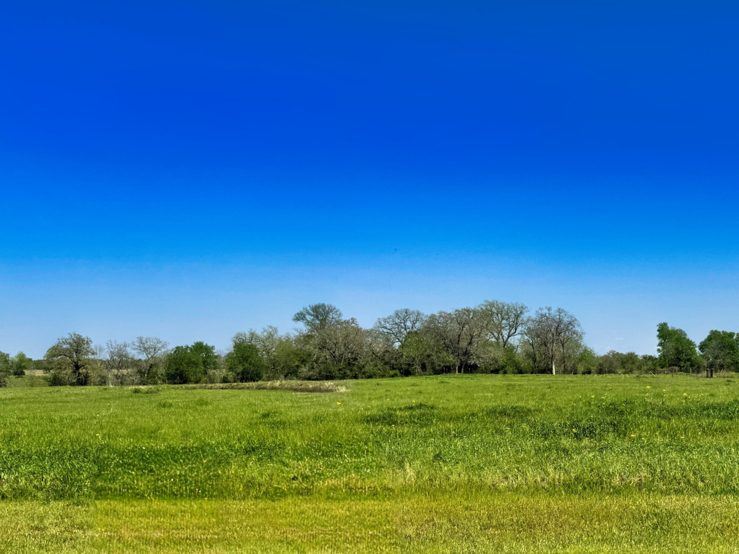 10068 Panther Creek Drive Iola TX 77861