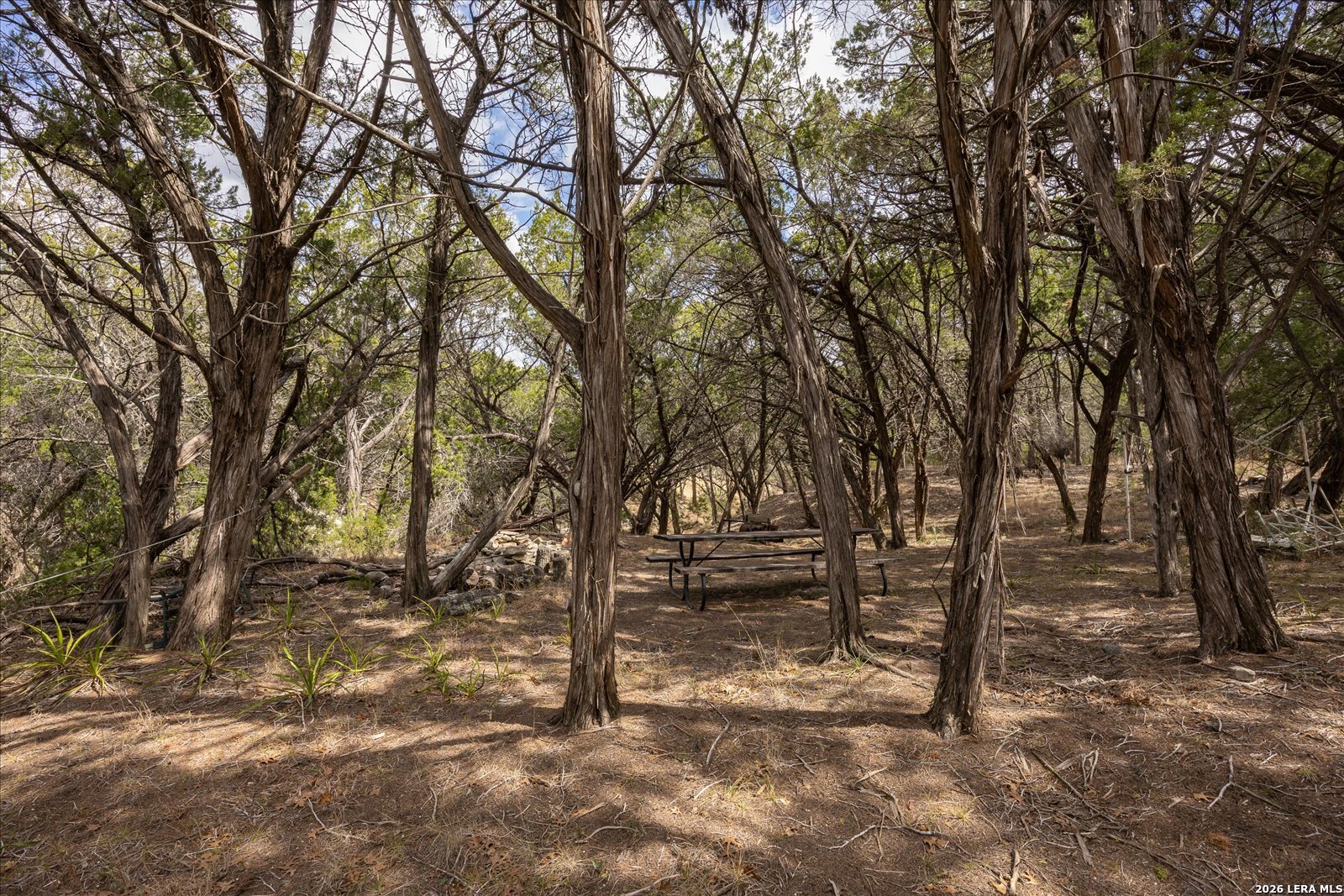 415 Sparkling Springs Boerne TX 78006