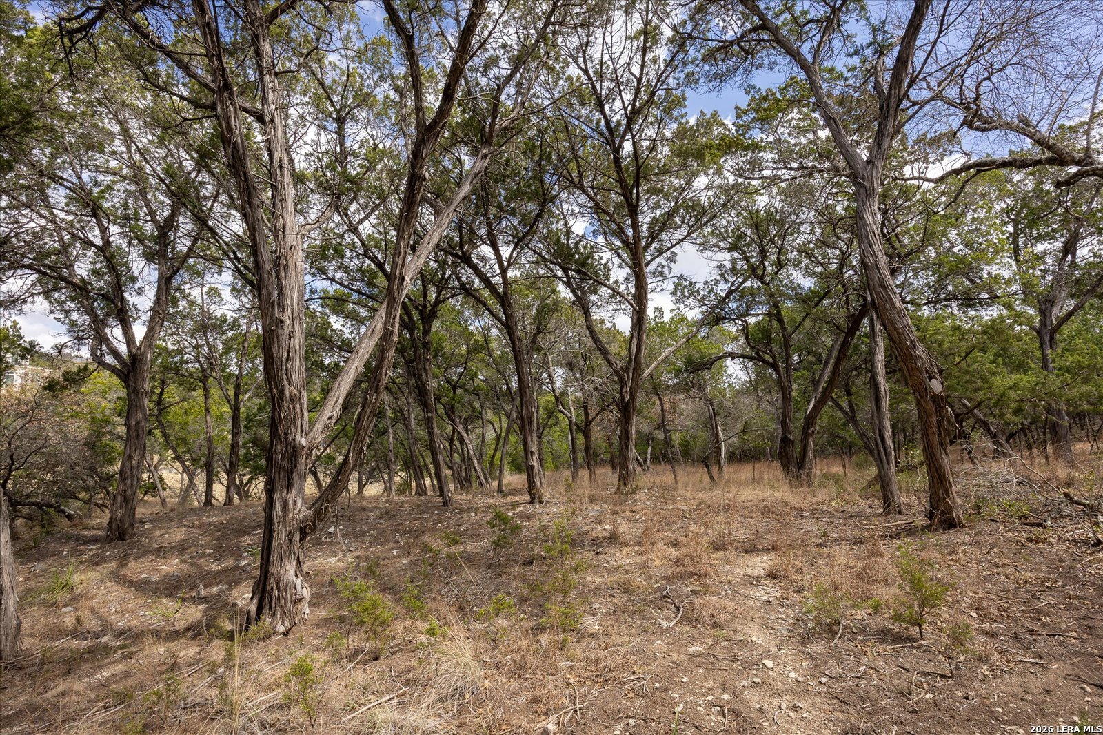 415 Sparkling Springs Boerne TX 78006