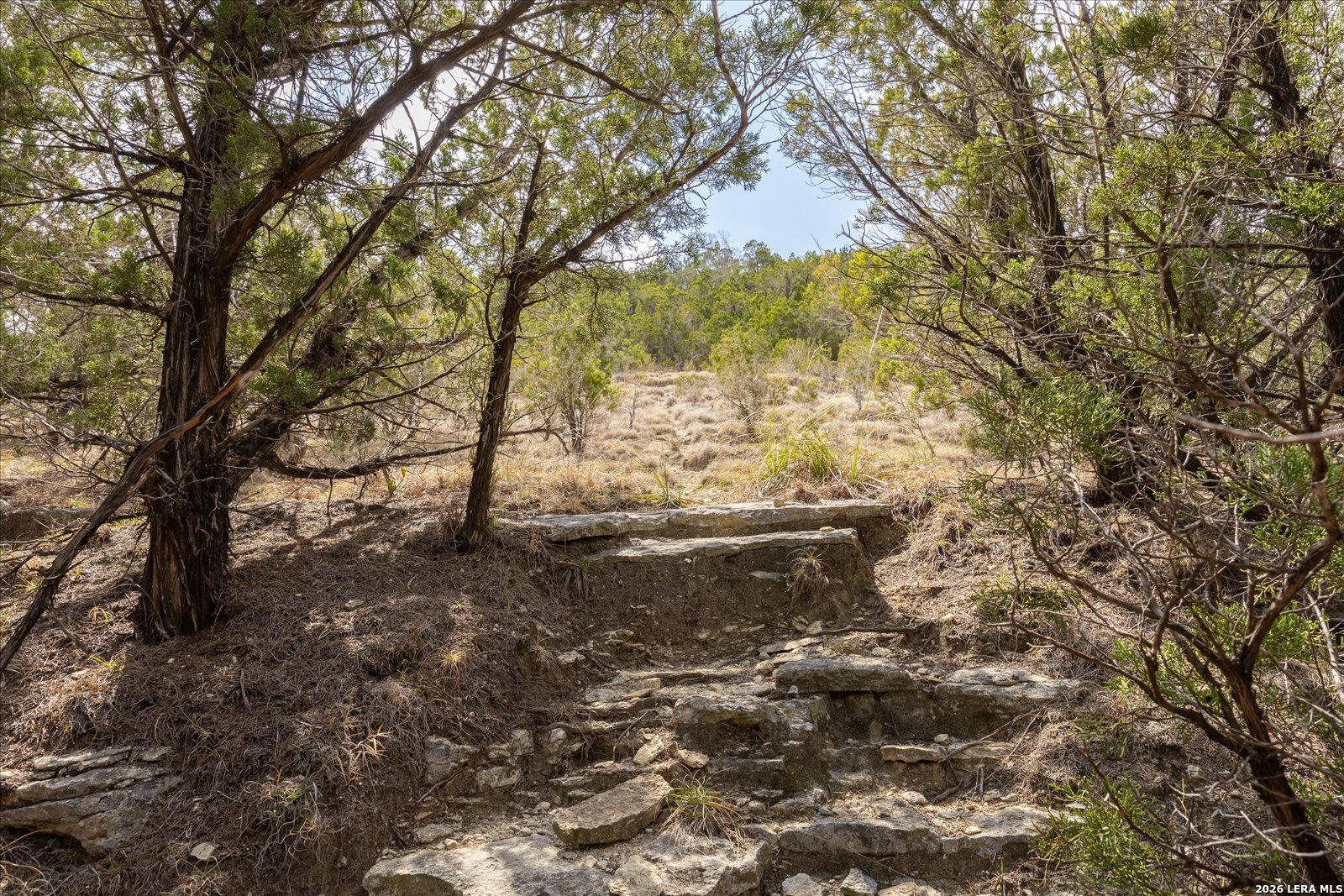 415 Sparkling Springs Boerne TX 78006