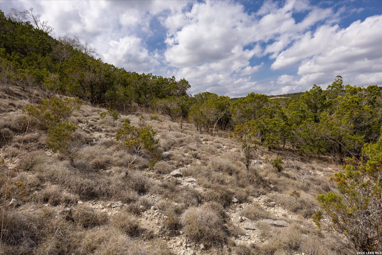 415 Sparkling Springs Boerne TX 78006