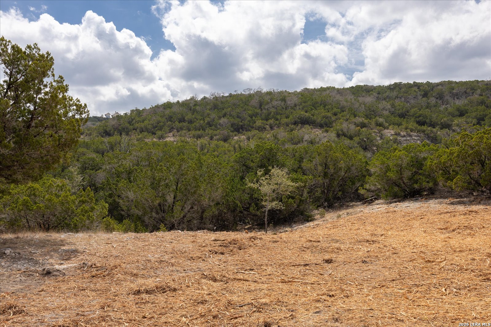 415 Sparkling Springs Boerne TX 78006