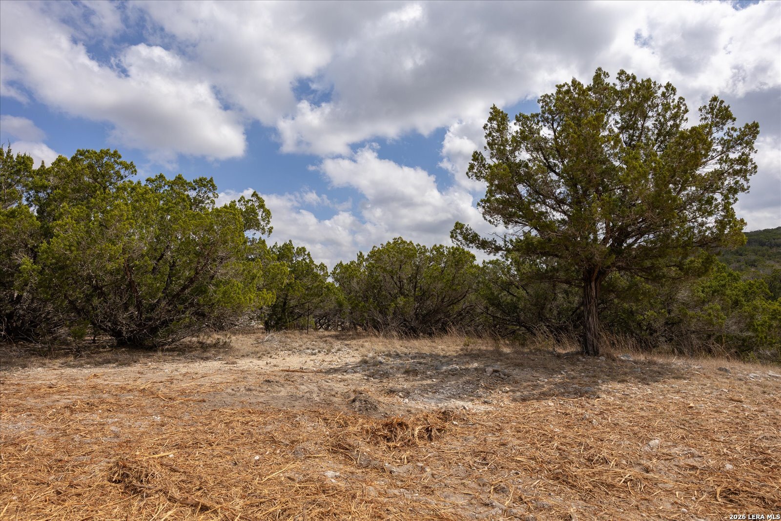 415 Sparkling Springs Boerne TX 78006