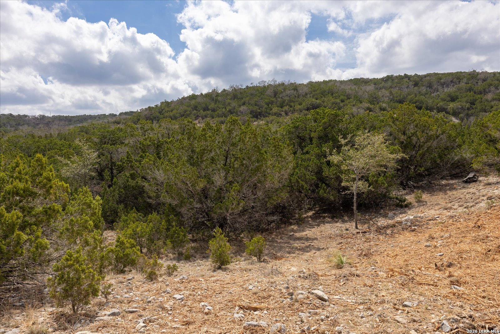 415 Sparkling Springs Boerne TX 78006
