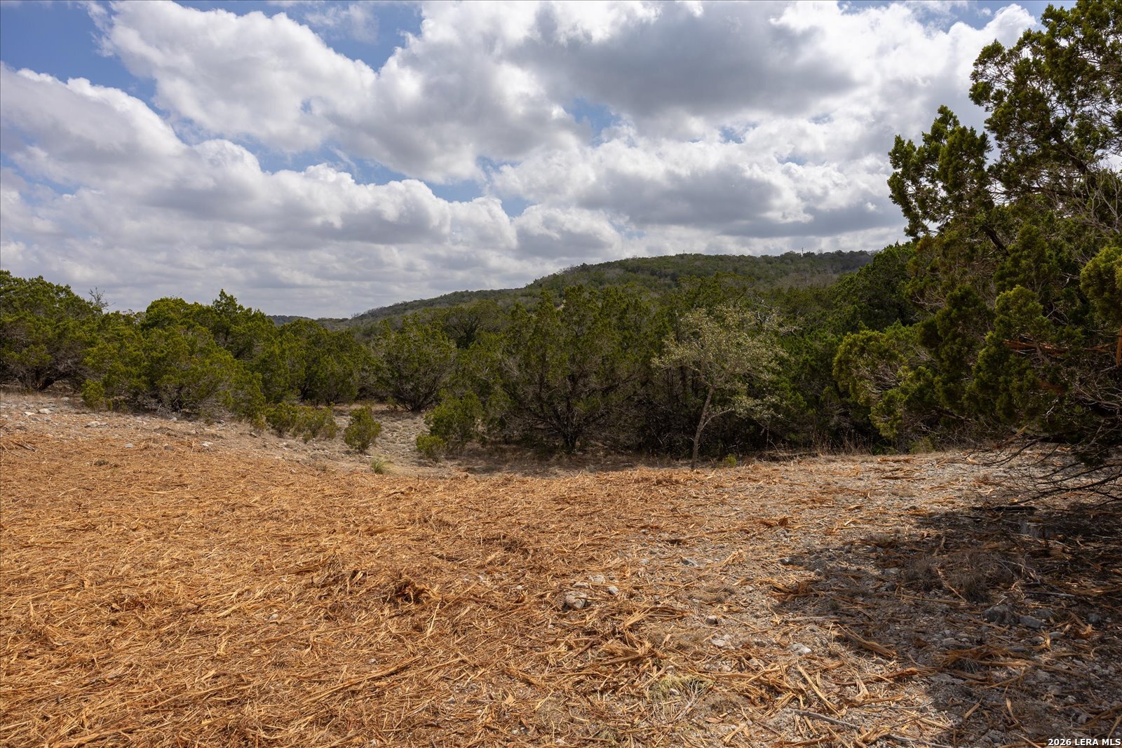 415 Sparkling Springs Boerne TX 78006