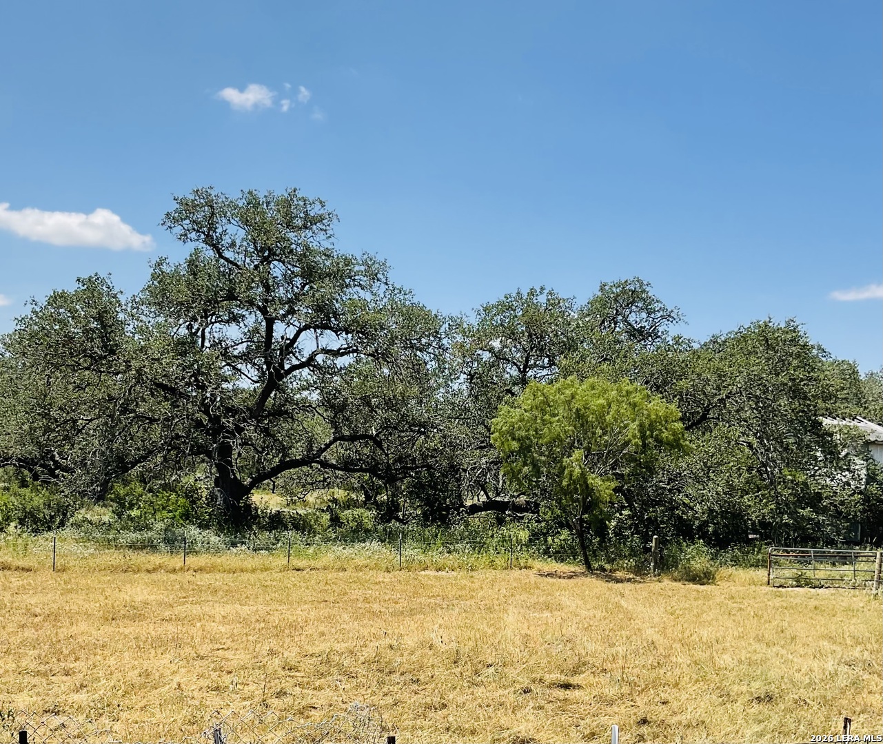 Tbd Lot 45 Hidden Meadows Poteet TX 78065
