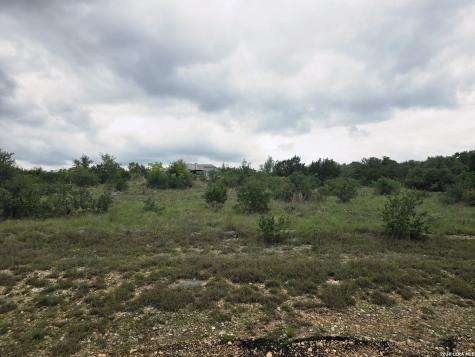 1642 Decanter Drive New Braunfels TX 78132