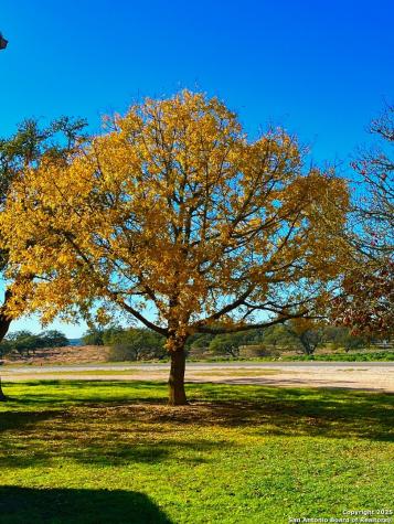 135 N Shapen Springs Harper TX 78631