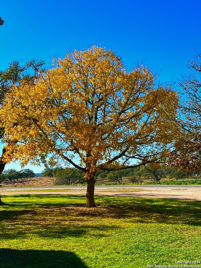 135 N Shapen Springs Harper TX 78631