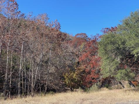 135 N Shapen Springs Harper TX 78631