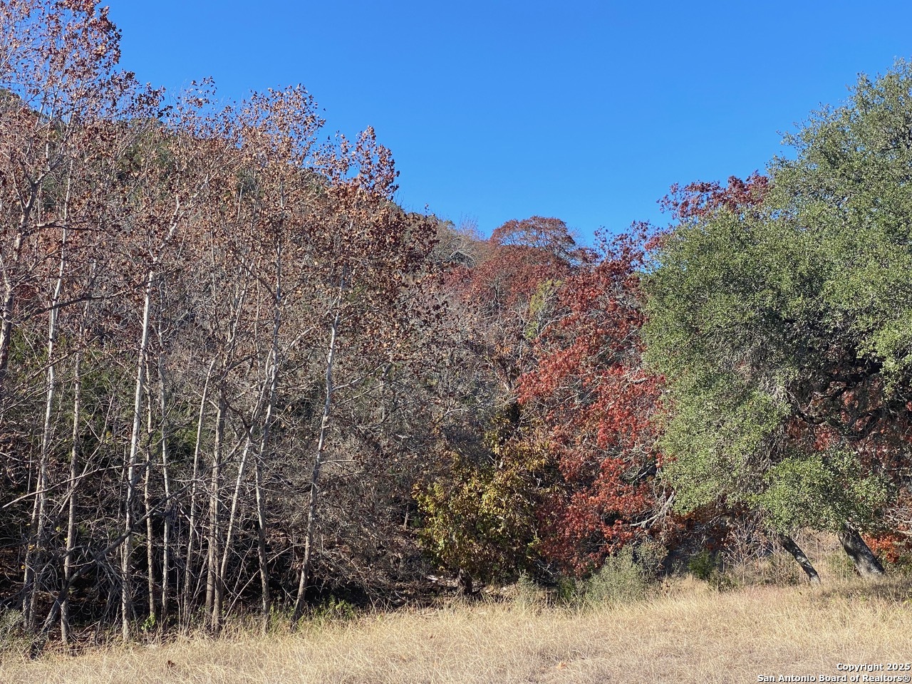 135 N Shapen Springs Harper TX 78631