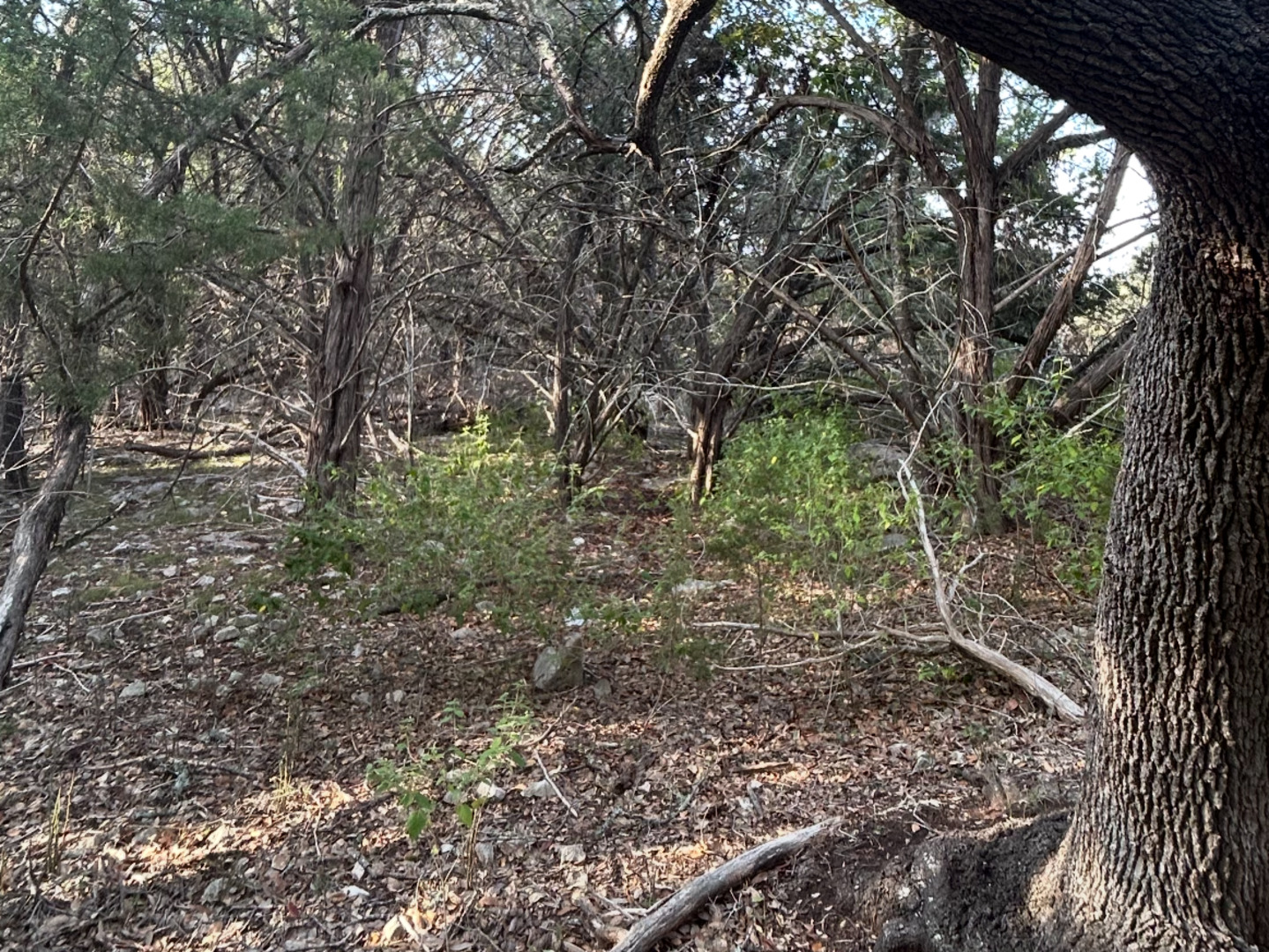 1107 Whispering Hills Canyon Lake TX 78133