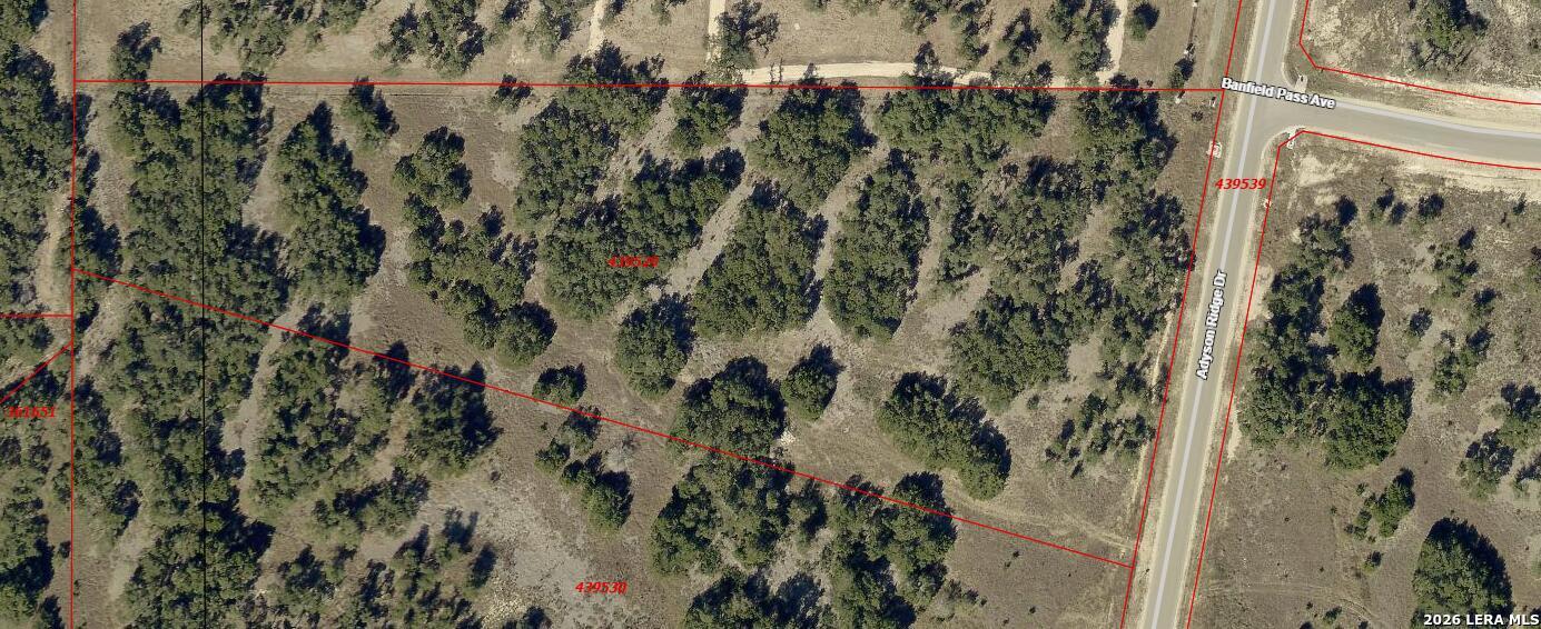 1076 Adyson Ridge Bulverde TX 78163