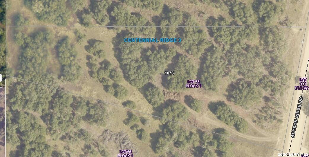 1076 Adyson Ridge Bulverde TX 78163