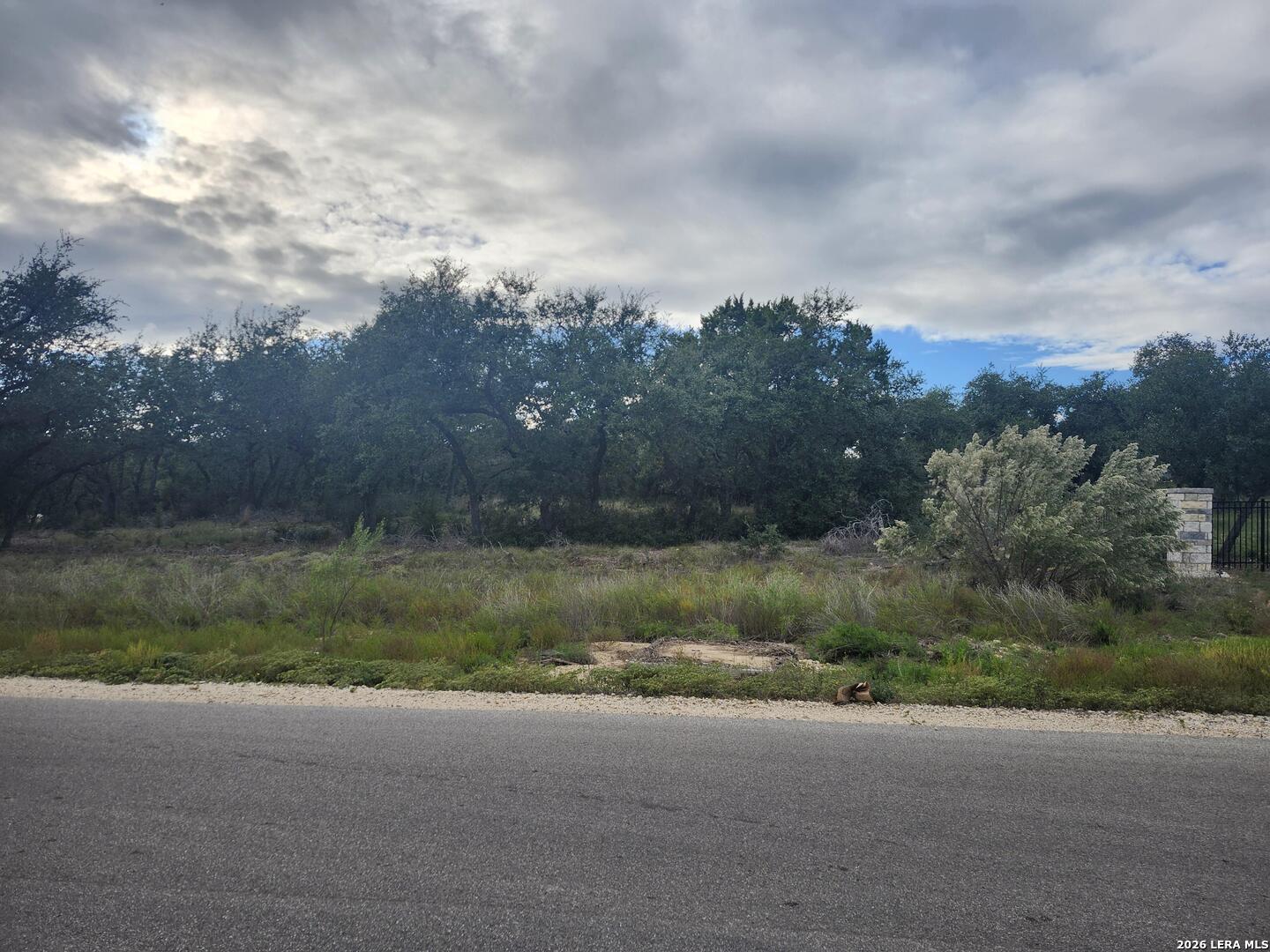 1076 Adyson Ridge Bulverde TX 78163