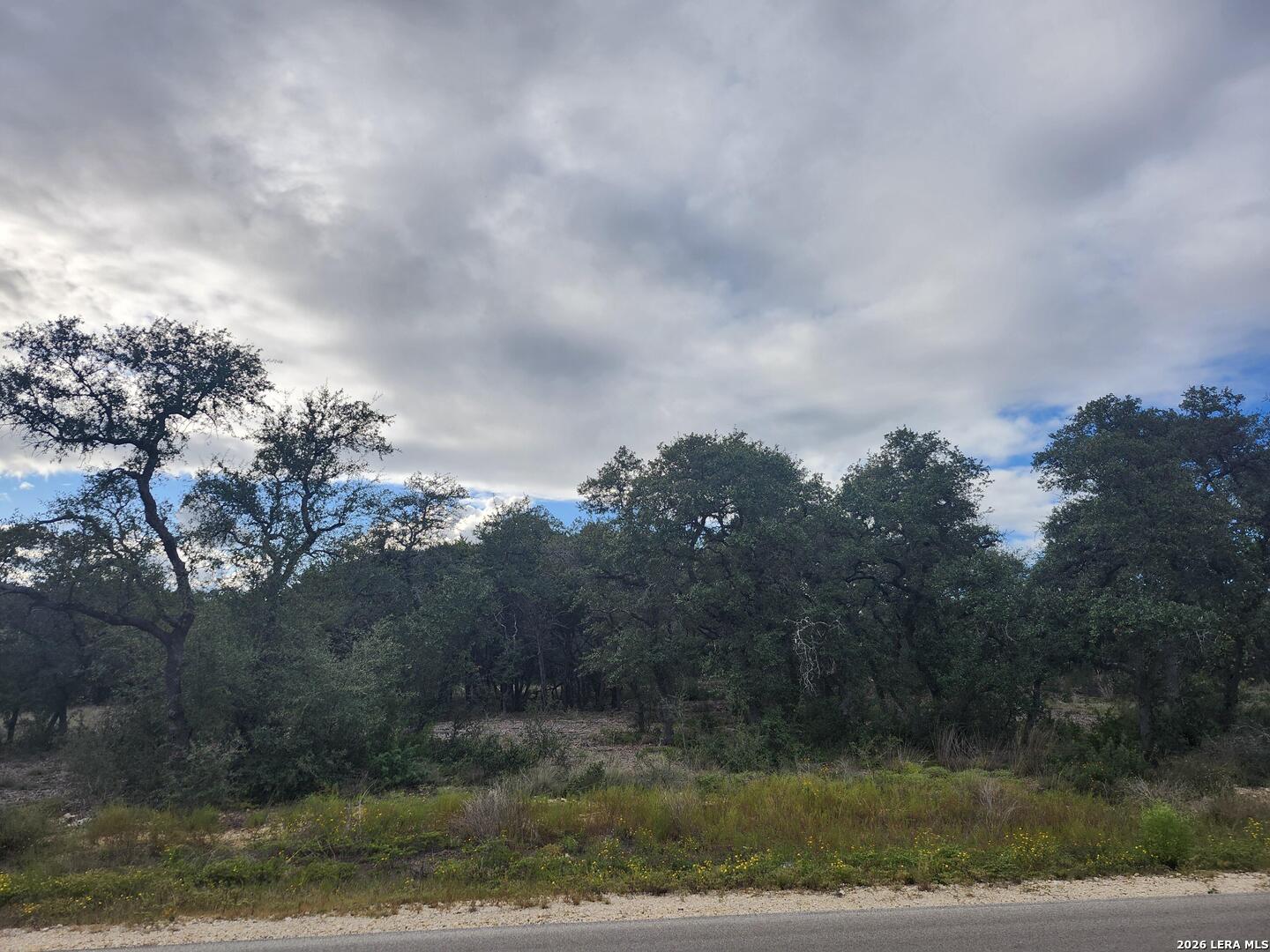 1076 Adyson Ridge Bulverde TX 78163