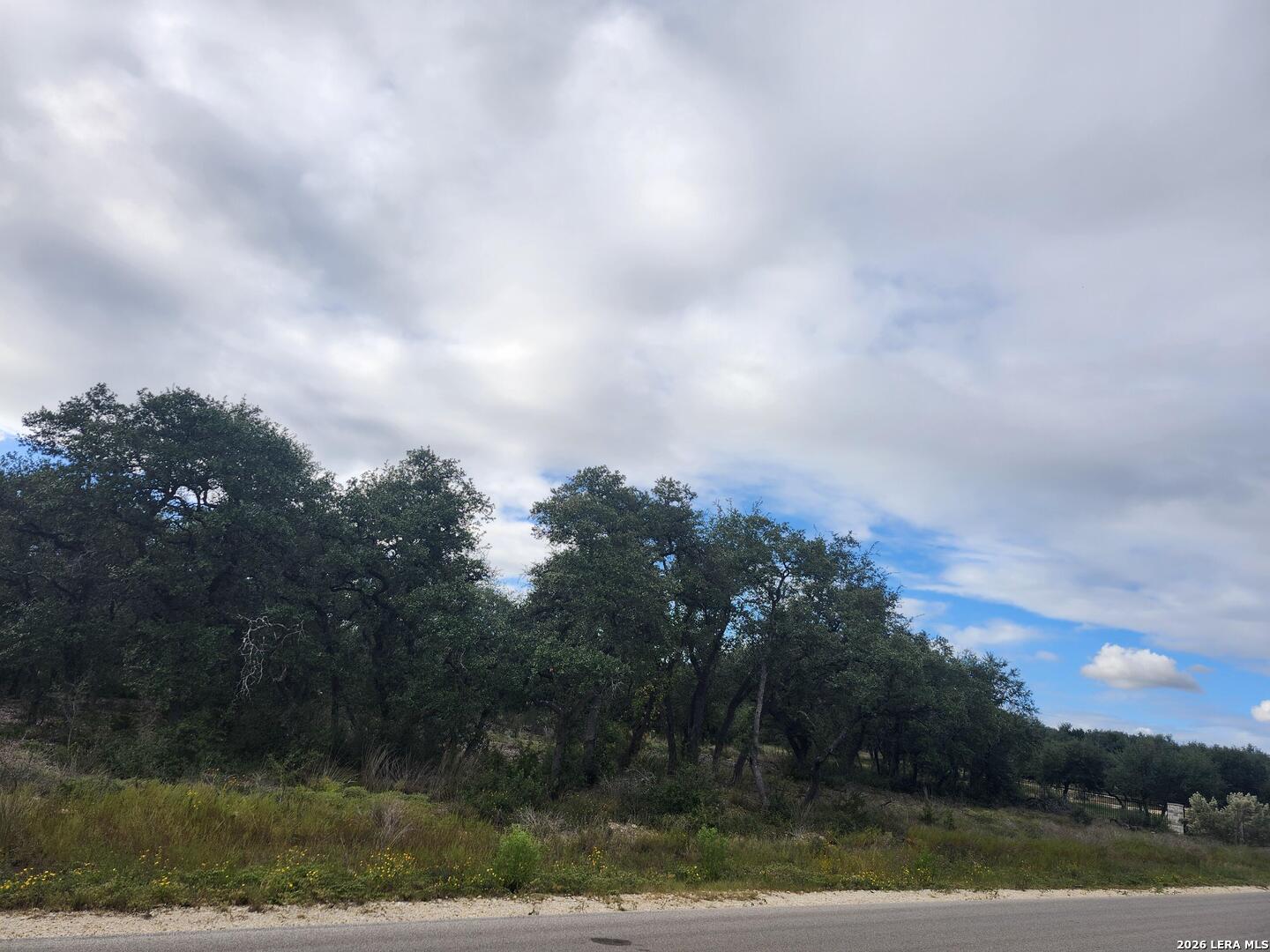 1076 Adyson Ridge Bulverde TX 78163
