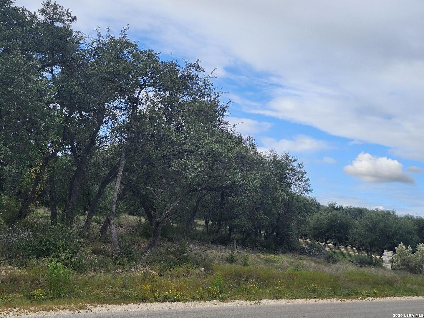 1076 Adyson Ridge Bulverde TX 78163