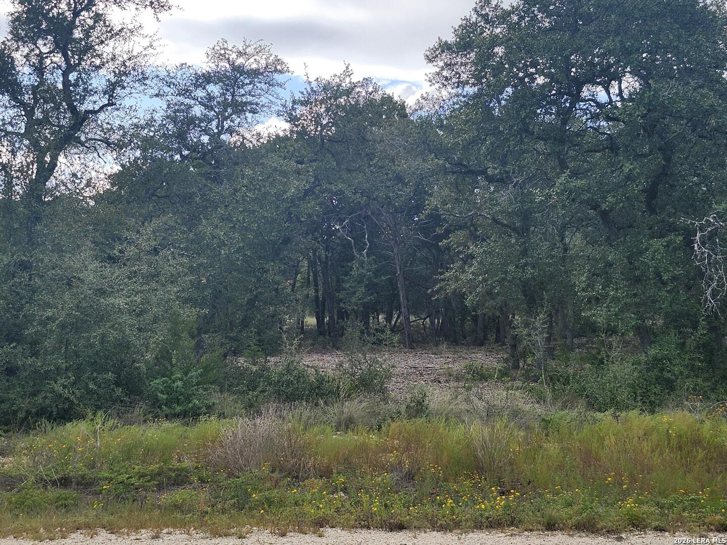 1076 Adyson Ridge Bulverde TX 78163
