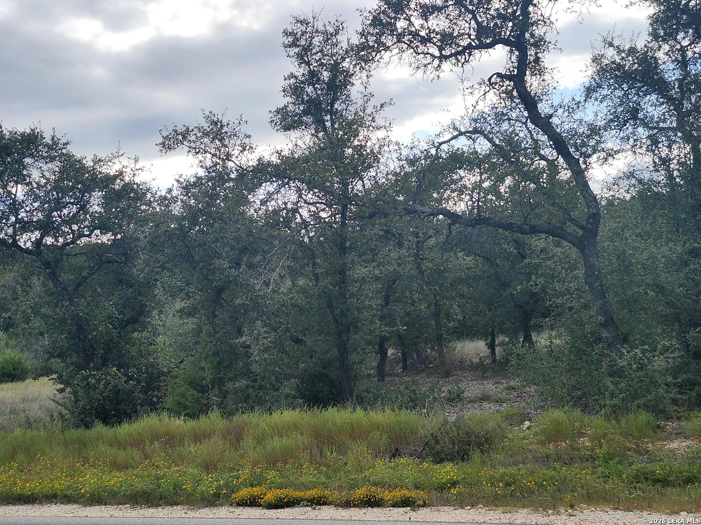 1076 Adyson Ridge Bulverde TX 78163