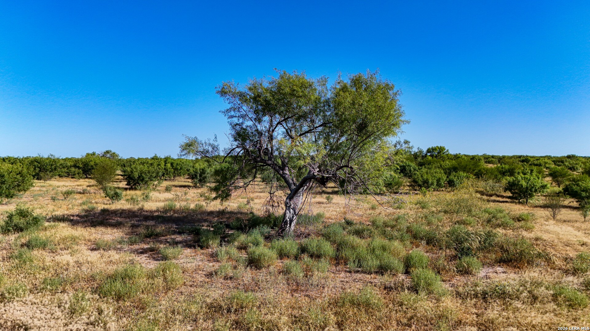 6026 County Road 2500 Bigfoot TX 78005