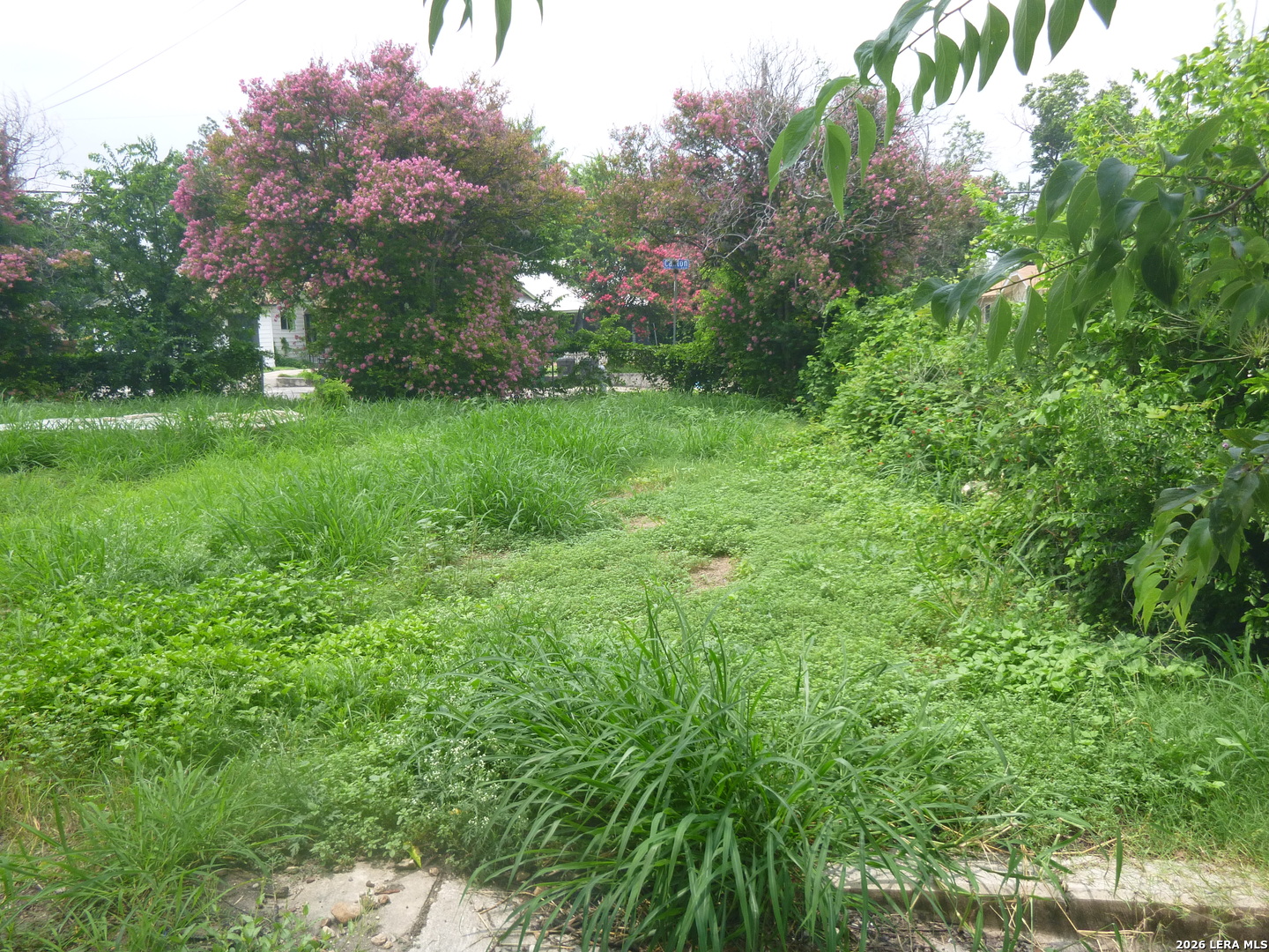 346 Canton San Antonio TX 78202