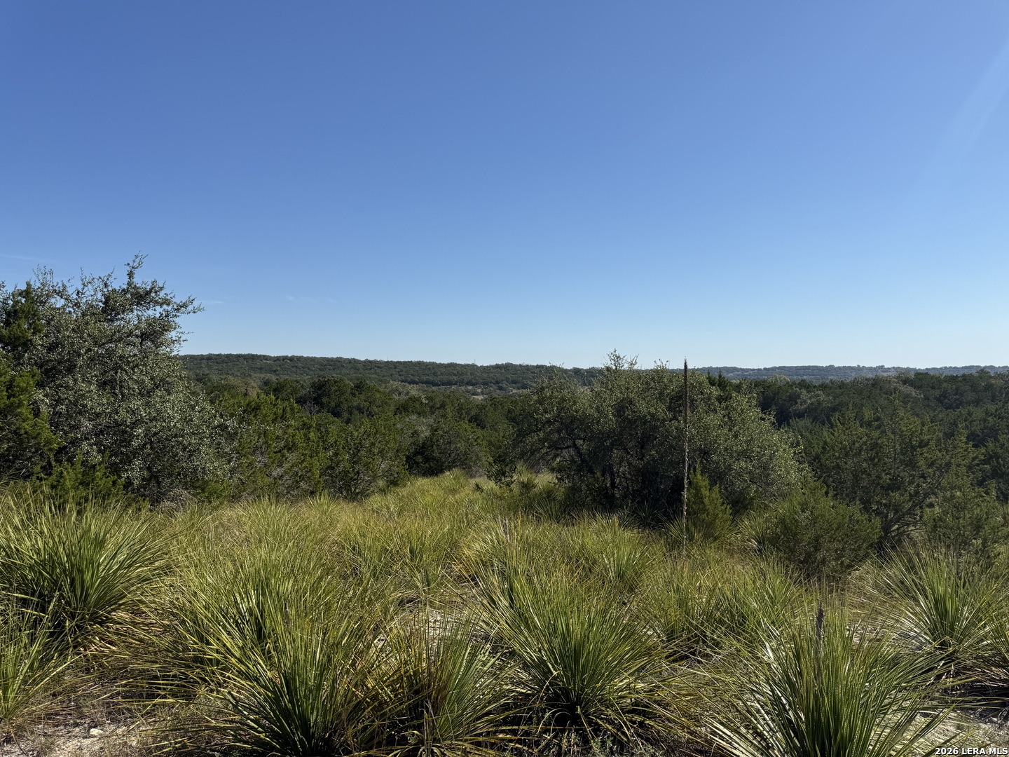 390 Thoroughbred Lane Spring Branch TX 78070