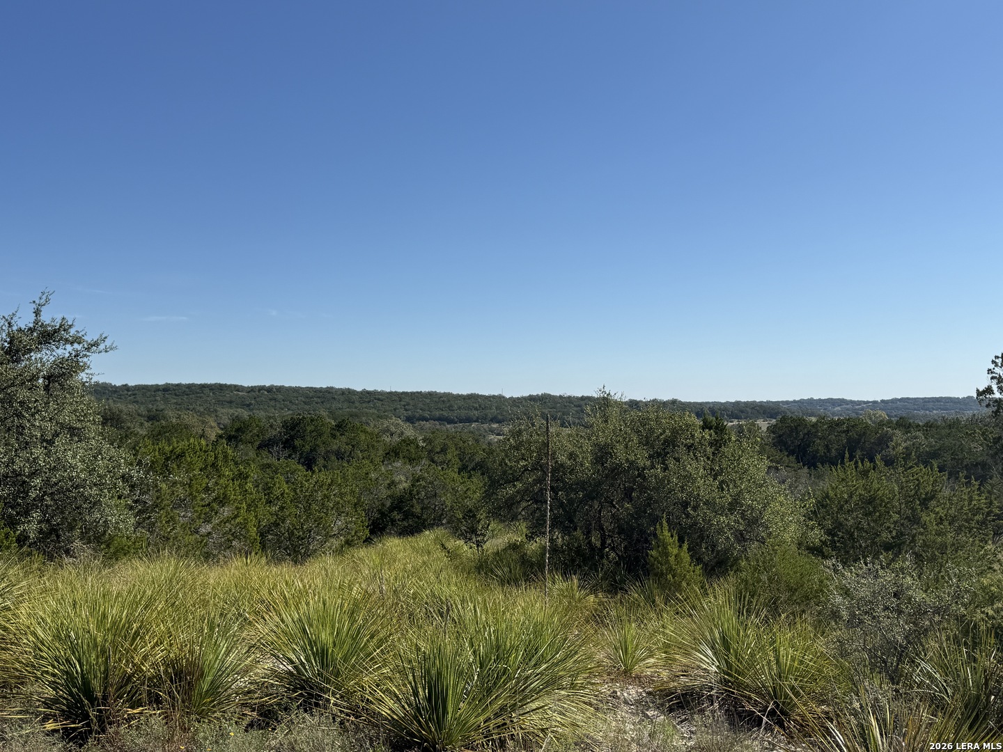 390 Thoroughbred Lane Spring Branch TX 78070