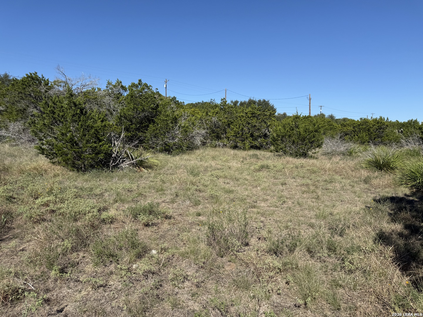 390 Thoroughbred Lane Spring Branch TX 78070