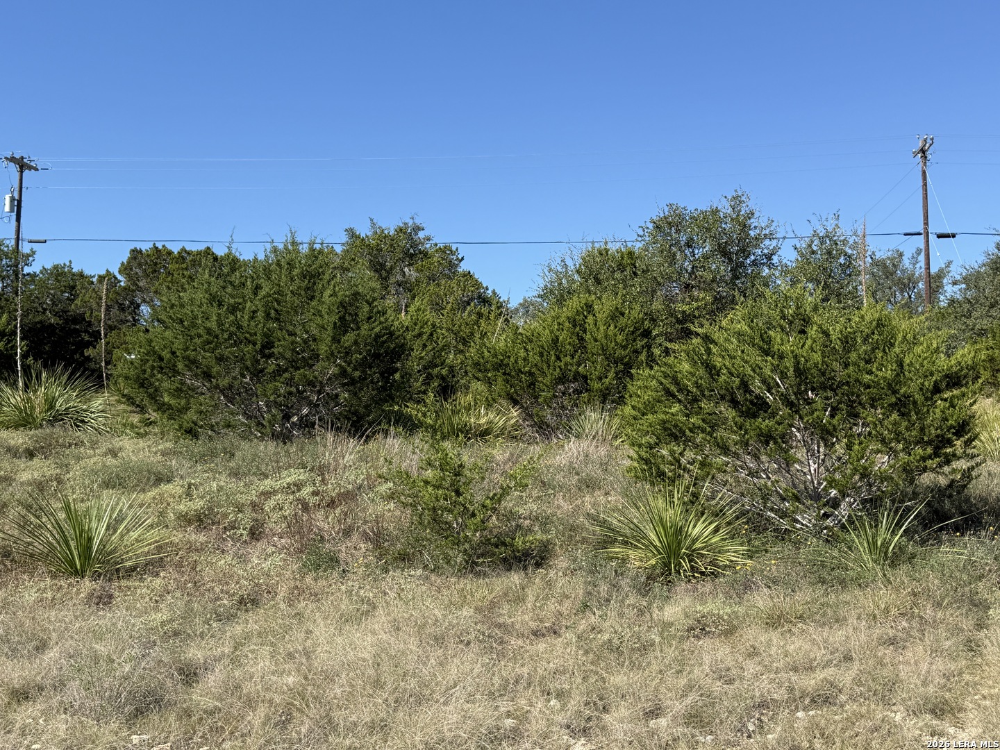 390 Thoroughbred Lane Spring Branch TX 78070