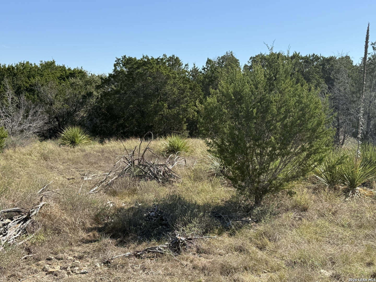 390 Thoroughbred Lane Spring Branch TX 78070