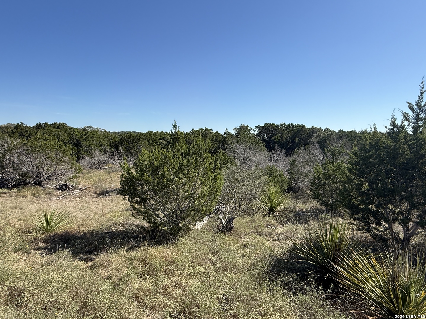 390 Thoroughbred Lane Spring Branch TX 78070