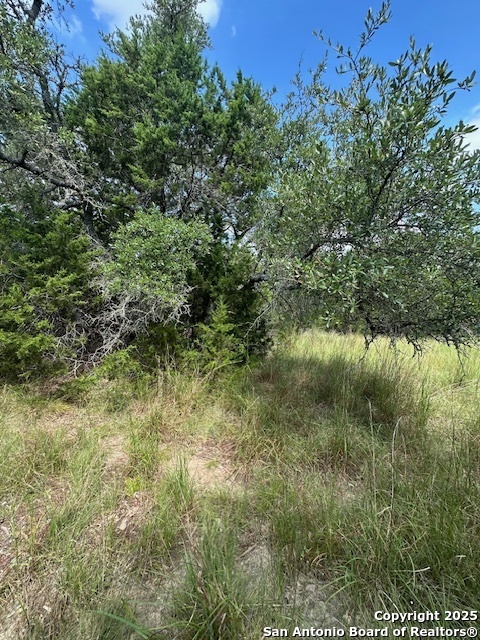 Tbd Lot 4 Royal Eagle Fischer TX 78623