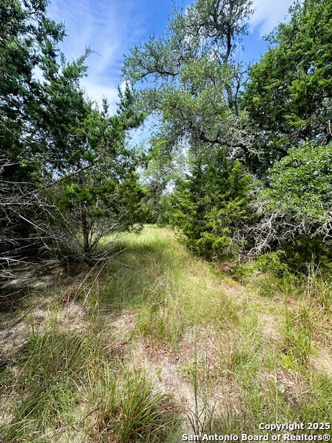 Tbd Lot 4 Royal Eagle Fischer TX 78623