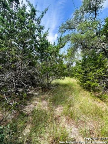 Tbd Lot 4 Royal Eagle Fischer TX 78623
