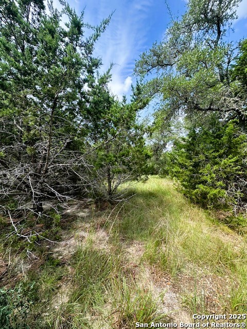 Tbd Lot 4 Royal Eagle Fischer TX 78623